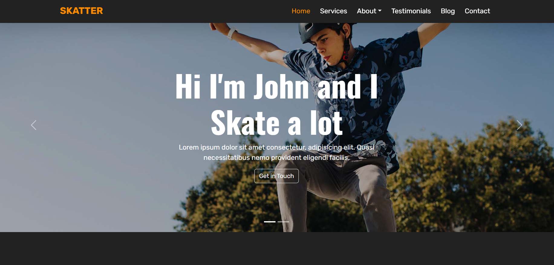 Skatter Landing